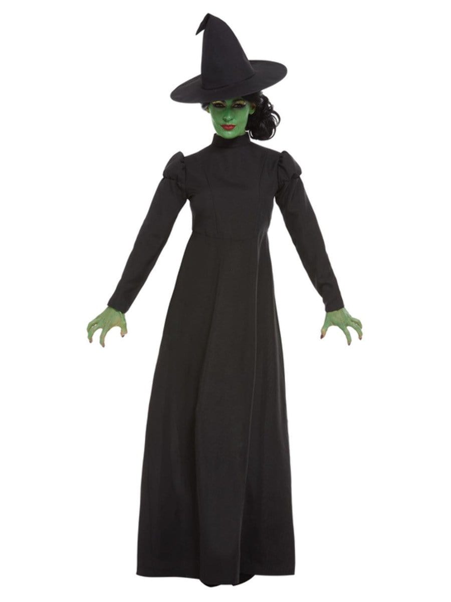 Wicked Witch Costume