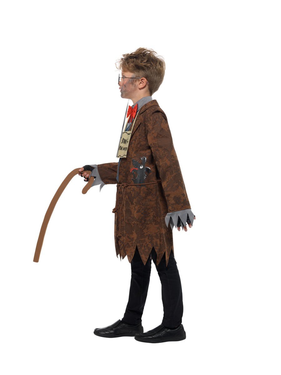 David Walliams Deluxe Mr Stink Costume Alternative View 1.jpg