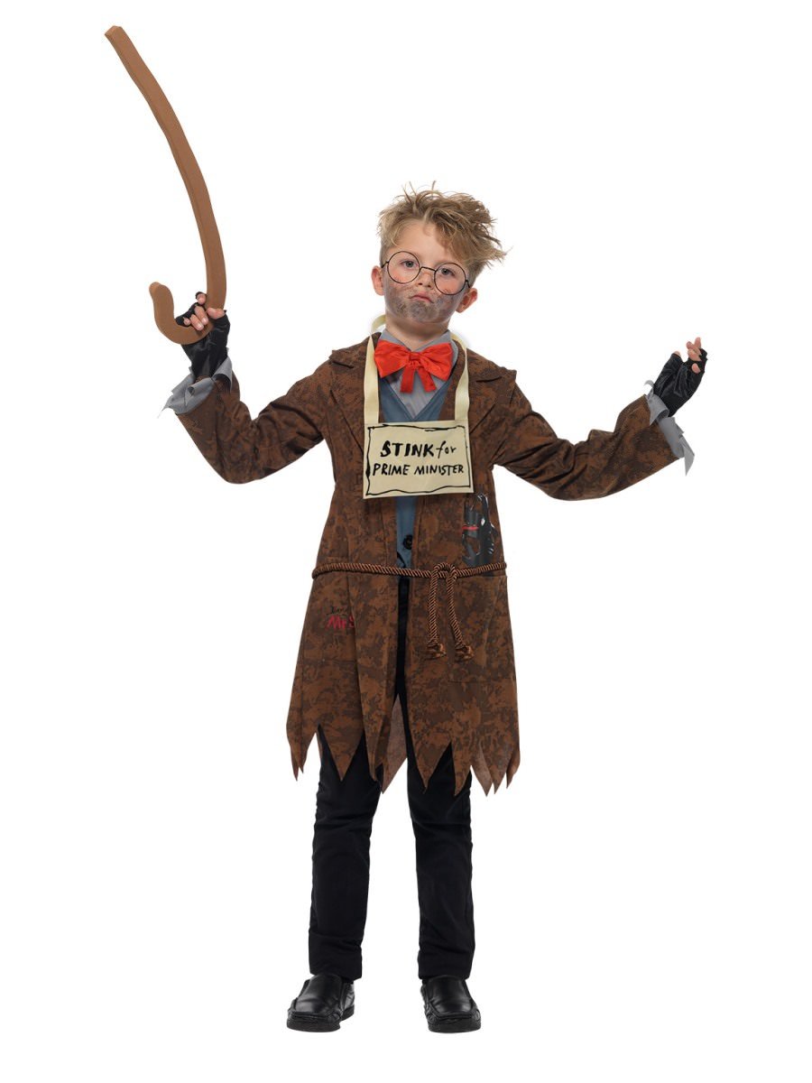 David Walliams Deluxe Mr Stink Costume Alternative View 3.jpg