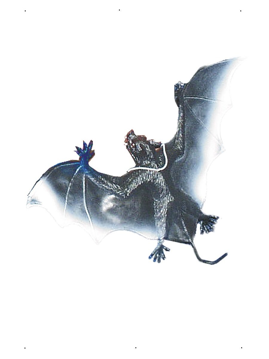 Large Vampire Bat Alternative View 1.jpg