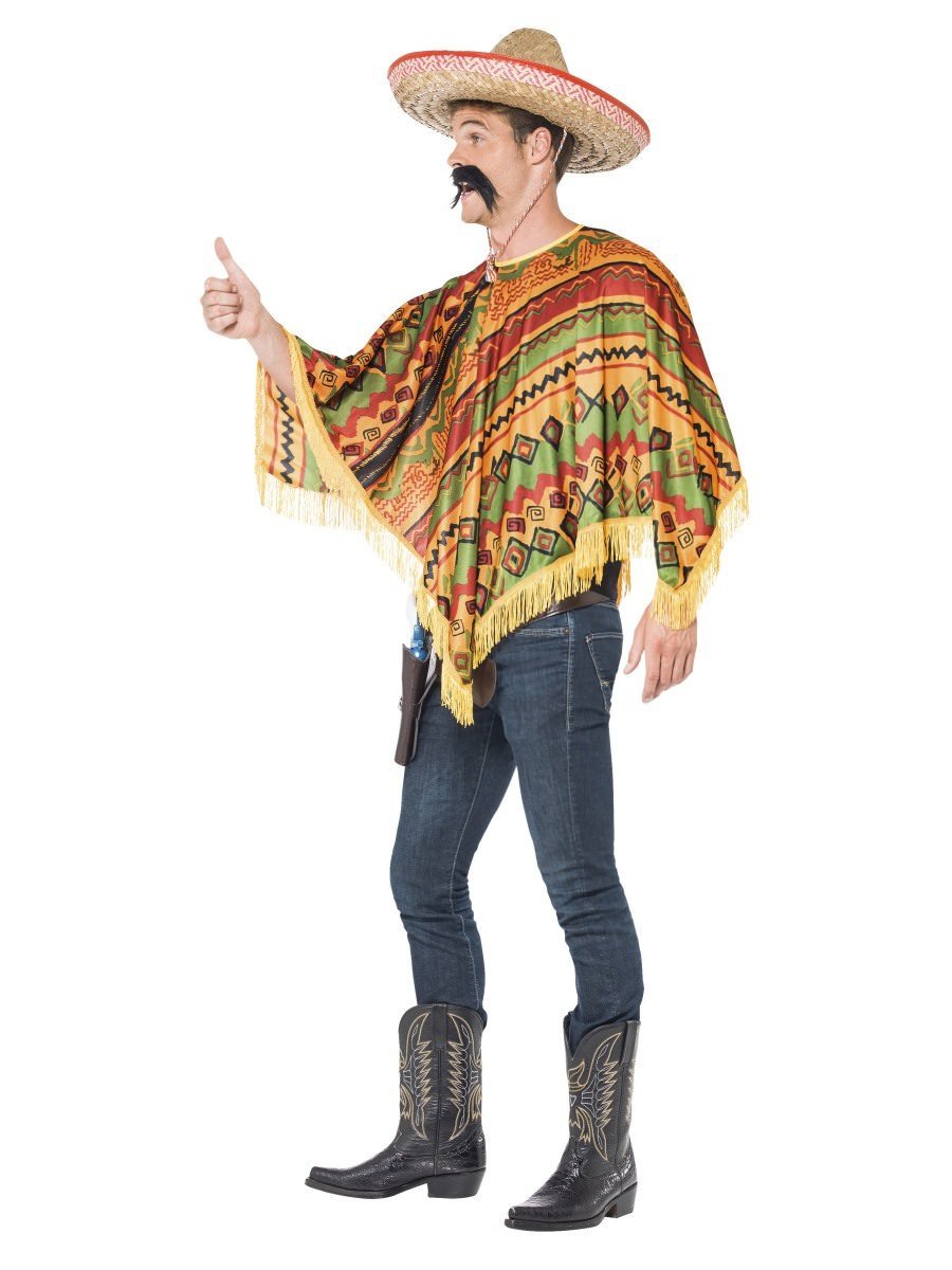Poncho & Moustache Alternative View 1.jpg