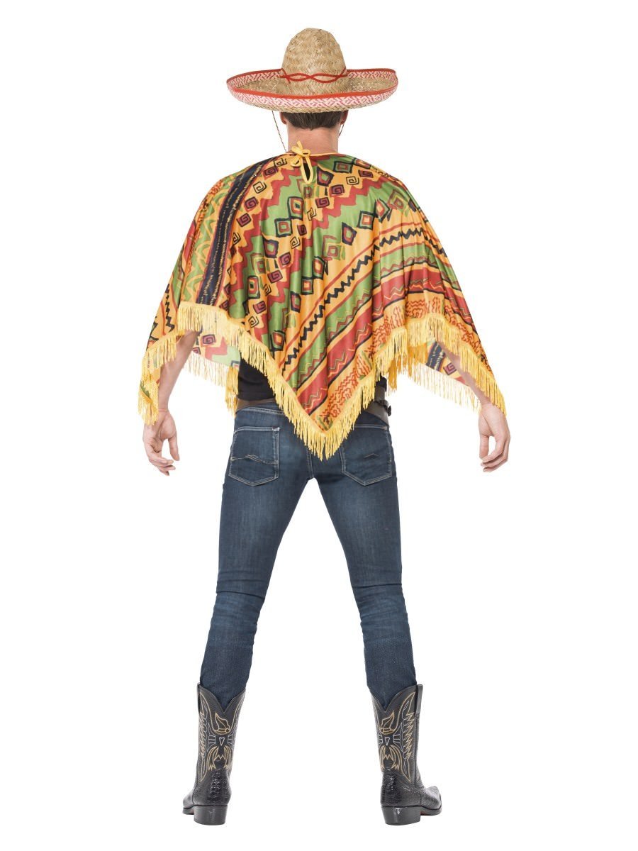Poncho & Moustache Alternative View 2.jpg