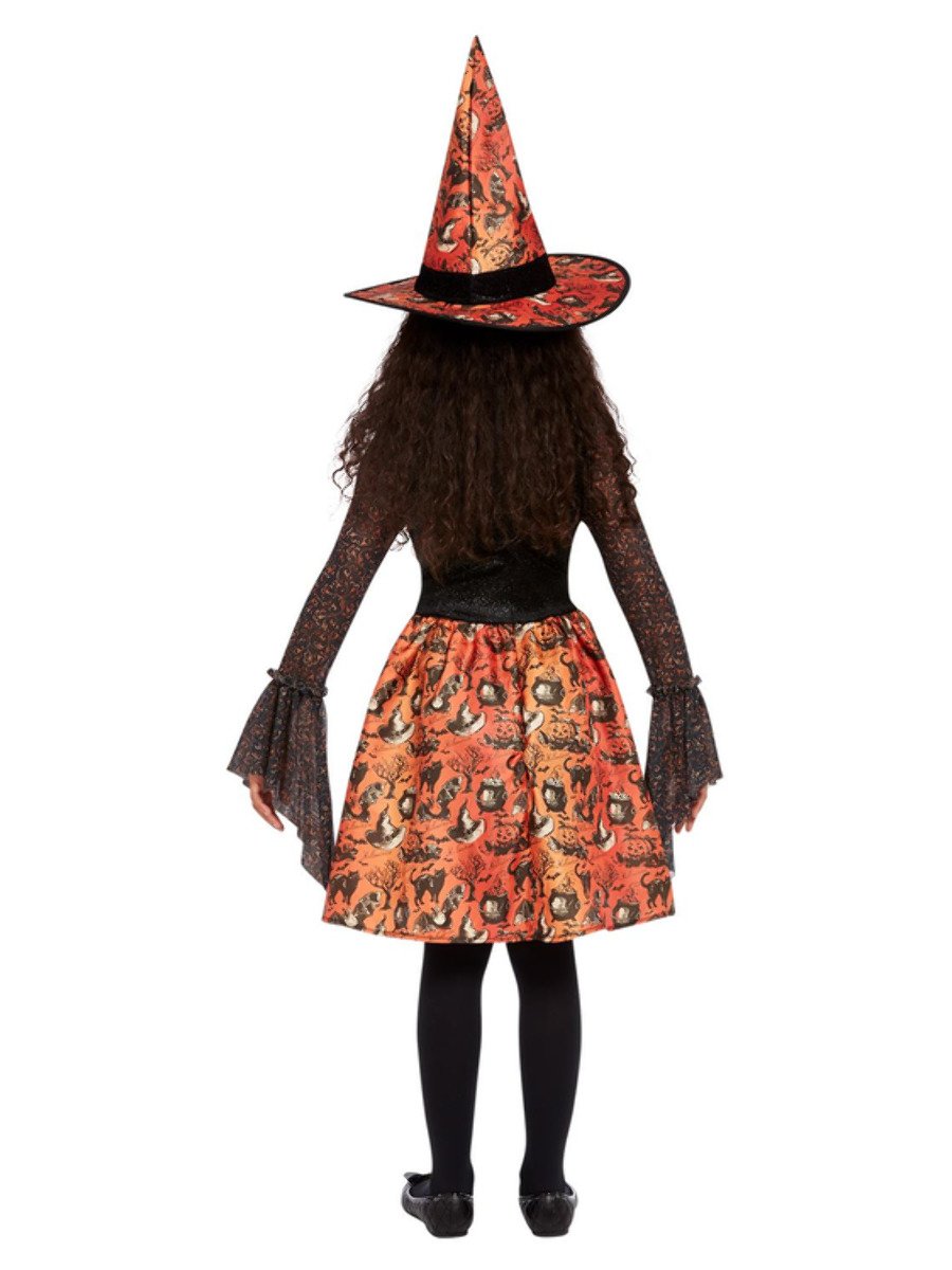 Vintage Witch Costume Alt2