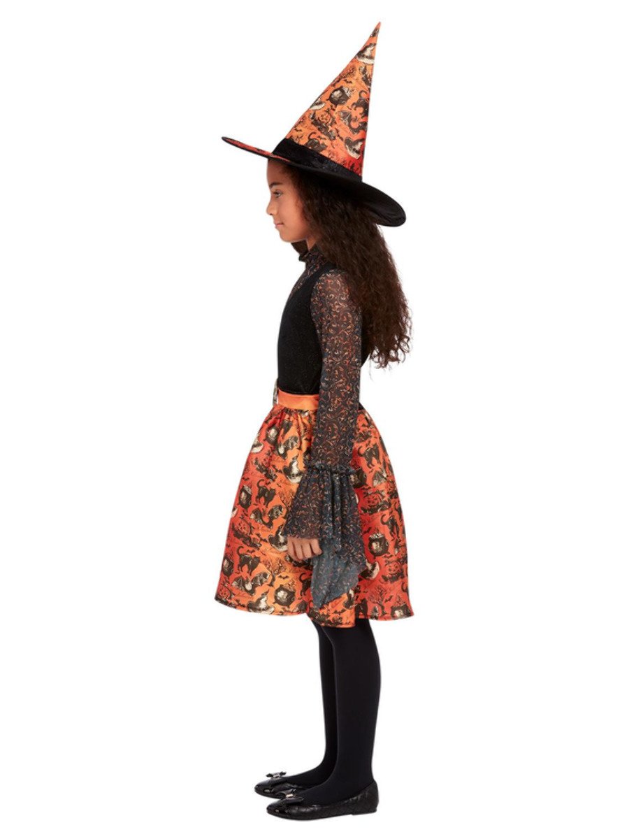 Vintage Witch Costume Alt1