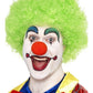 Crazy Clown Wig, Green Alternative View 2.jpg