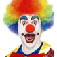 Crazy Clown Wig, Rainbow Alternative View 1.jpg
