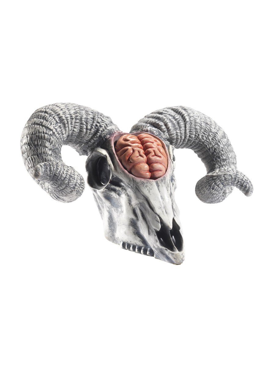 Latex Rams Skull Prop with Exposed Brain
