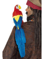 Parrot 50cm