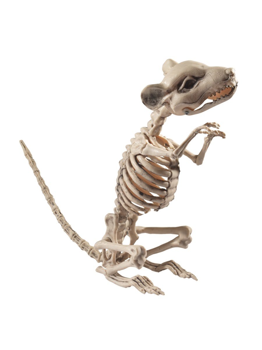 Rat Skeleton Prop