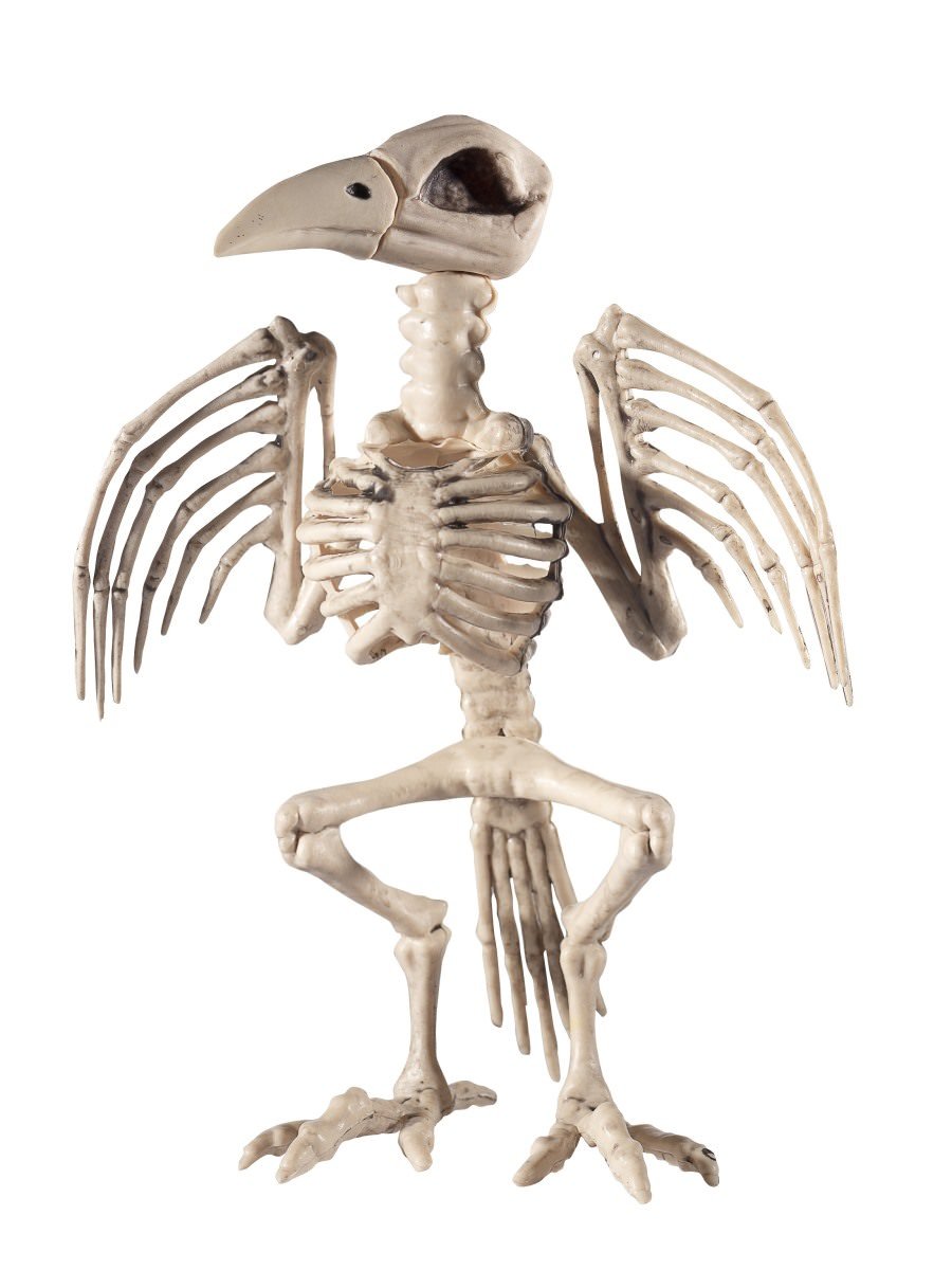 Raven Skeleton Prop