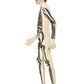 Skeleton Second Skin Costume, Nude Alternative View 1.jpg
