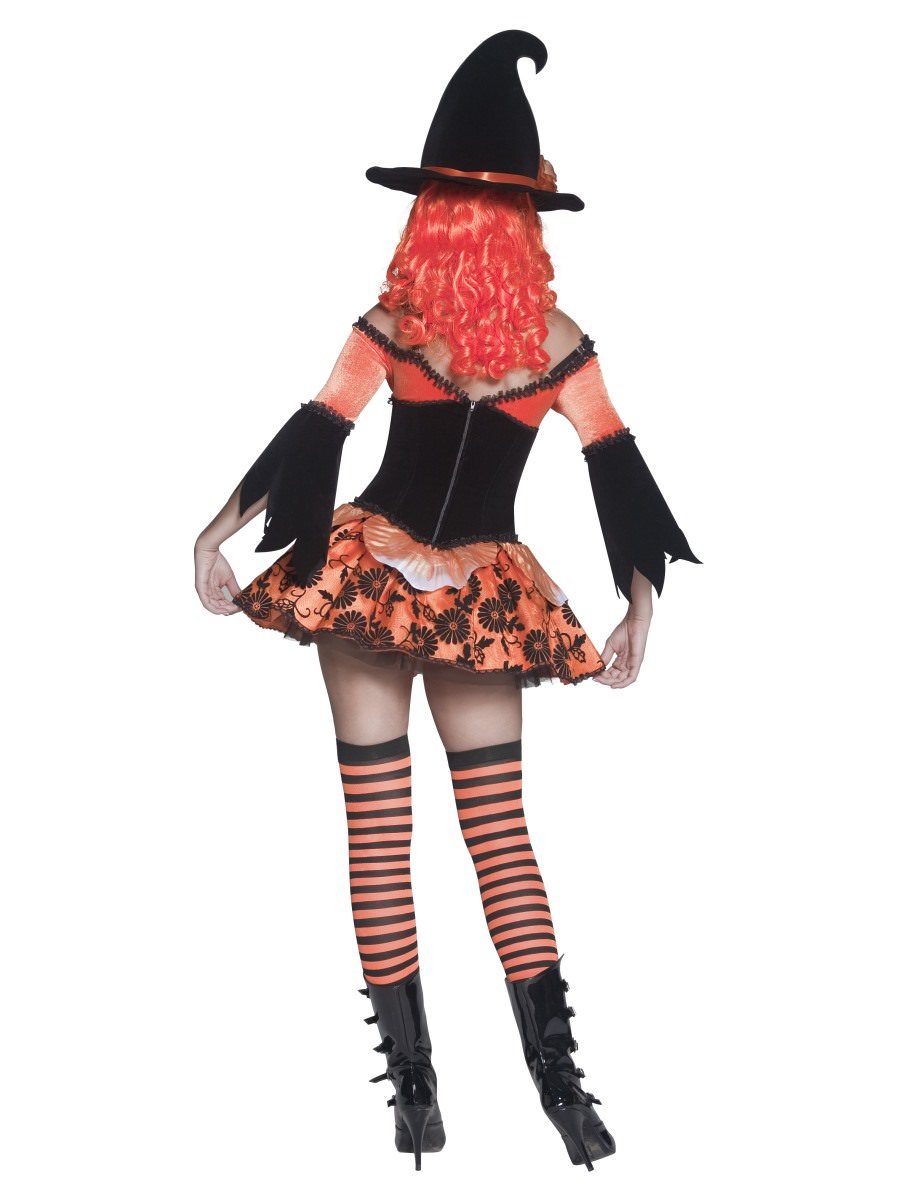 Tainted Garden Wicked Witch Costume Alternative View 2.jpg