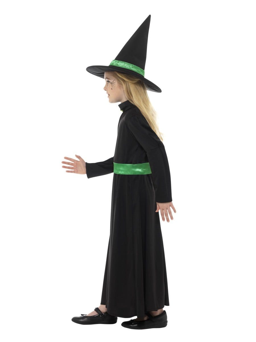 Wicked Witch Costume Alternative View 1.jpg