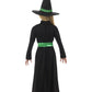 Wicked Witch Costume Alternative View 2.jpg