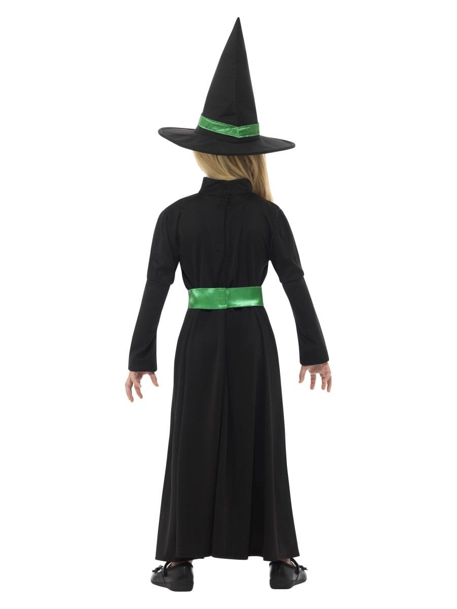 Wicked Witch Costume Alternative View 2.jpg