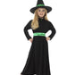 Wicked Witch Costume Alternative View 3.jpg
